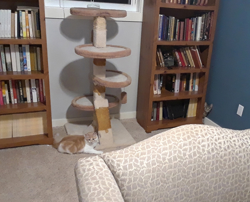 Coda and Allegro Playing copy